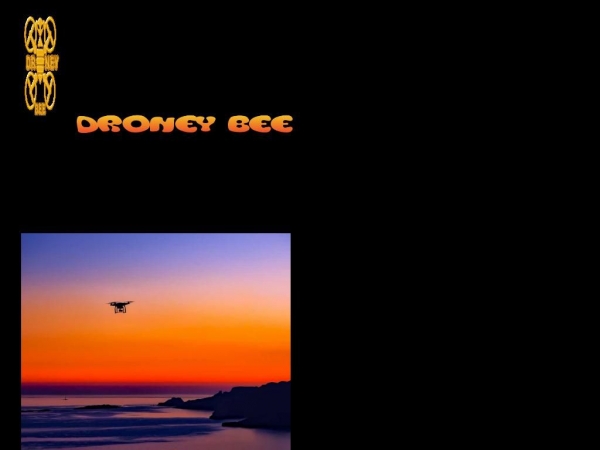 droneybee.com