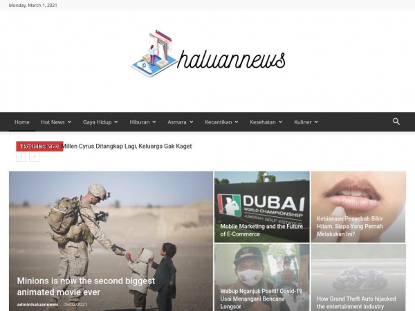 haluannews.com