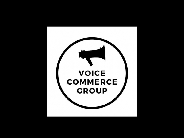 voicecommercegroup.com