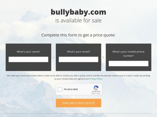 bullybaby.com