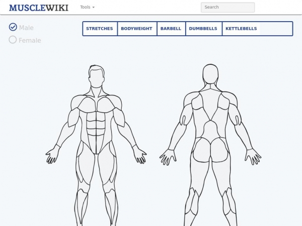 musclewiki.com