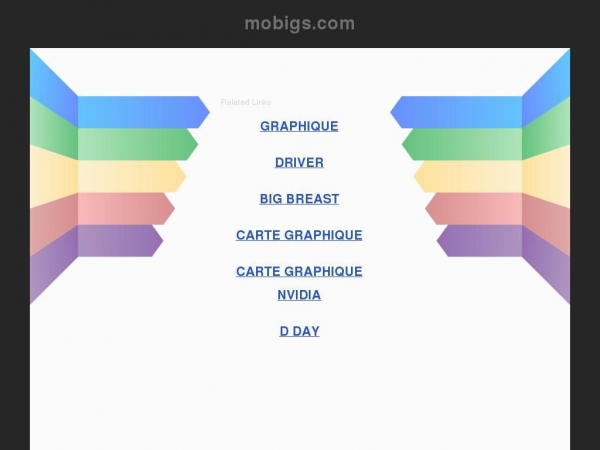 mobigs.com