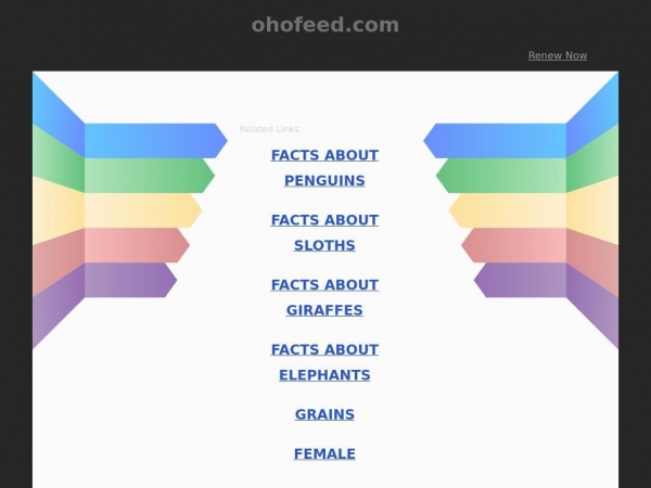 ohofeed.com